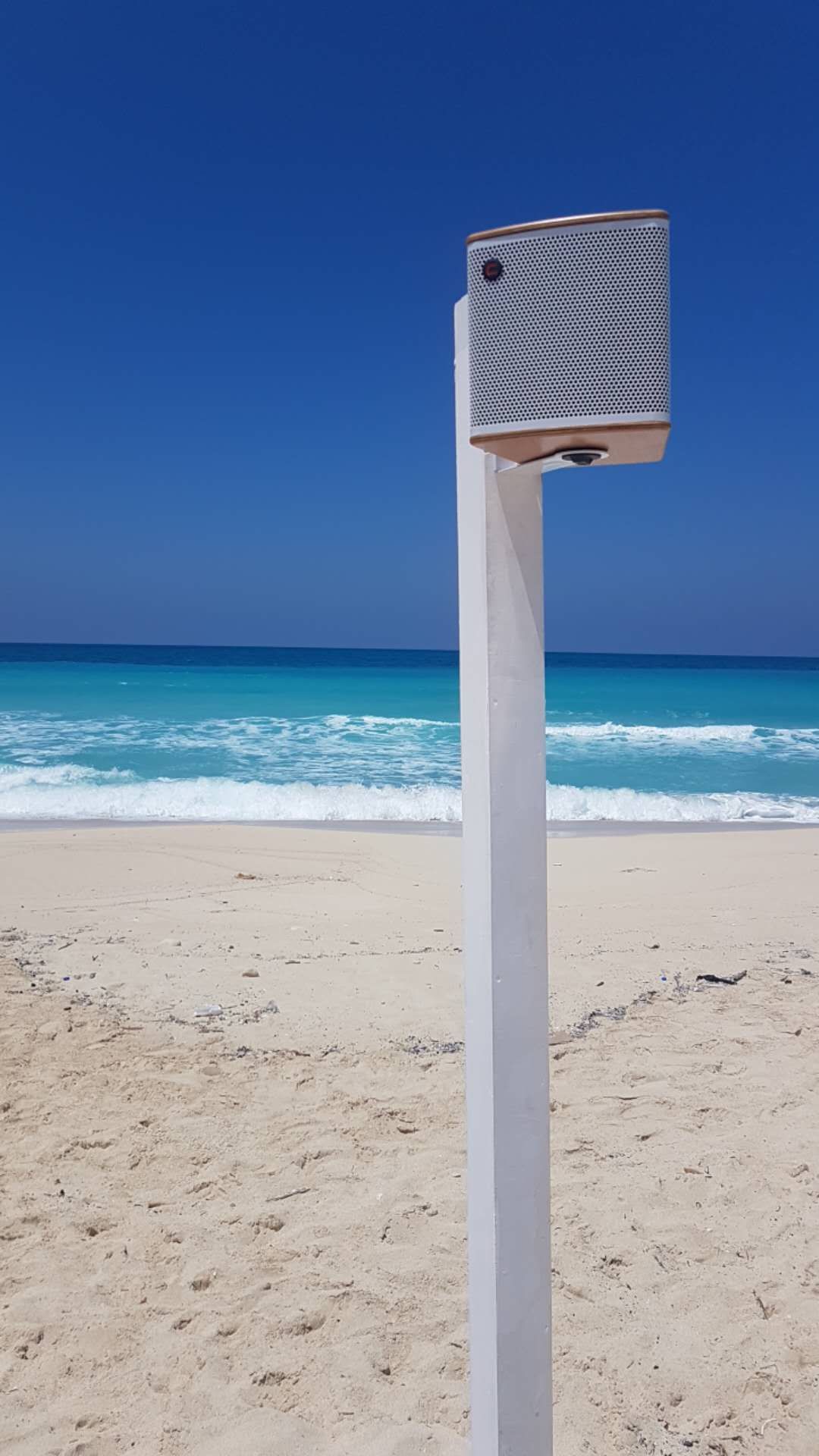 KIKI'S_ALEXANDRIA_04