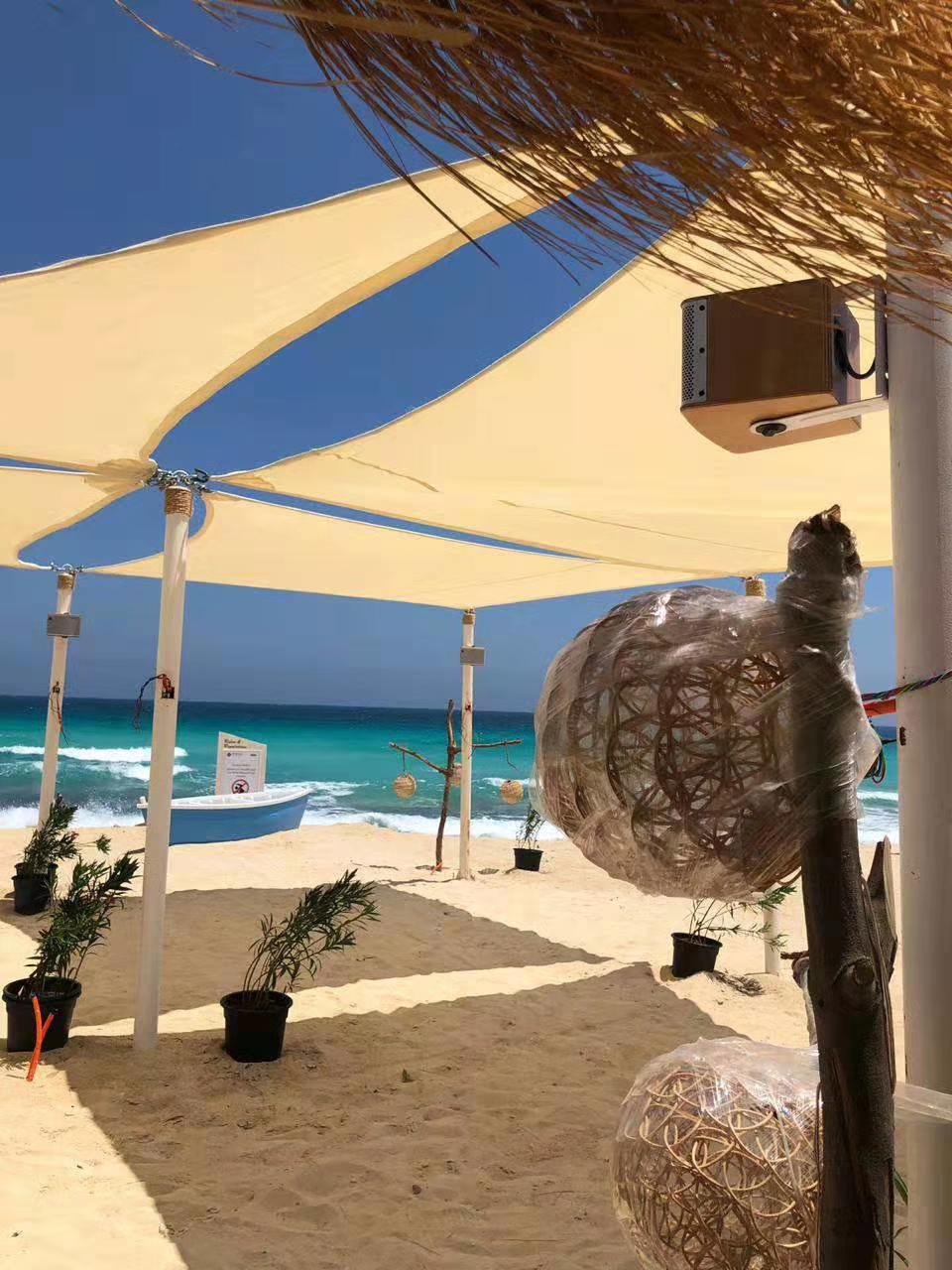 KIKI'S_ALEXANDRIA_12