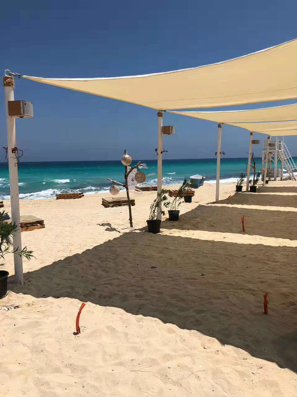 KIKI'S_ALEXANDRIA_13